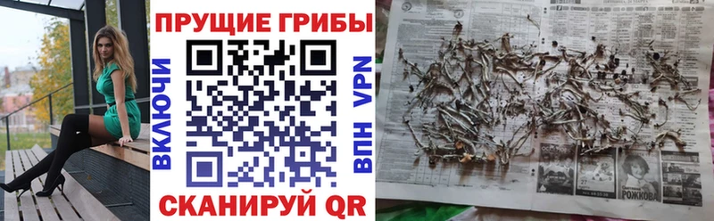 Галлюциногенные грибы мухоморы  Пугачёв 